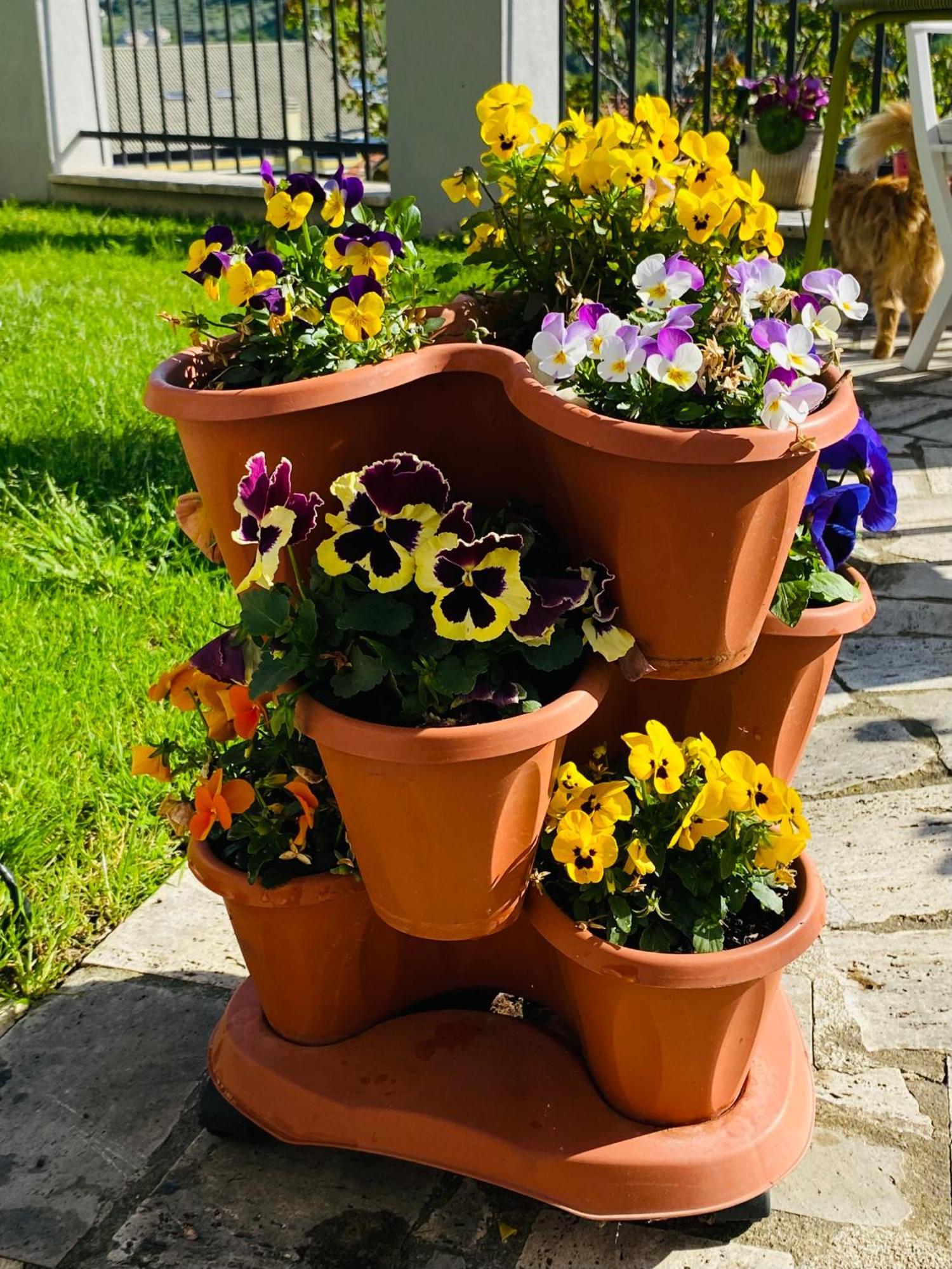 Dimora Il Campanile Bed and Breakfast Chieti Eksteriør billede